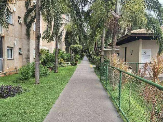 Apartamento venda em São José do Rio Preto