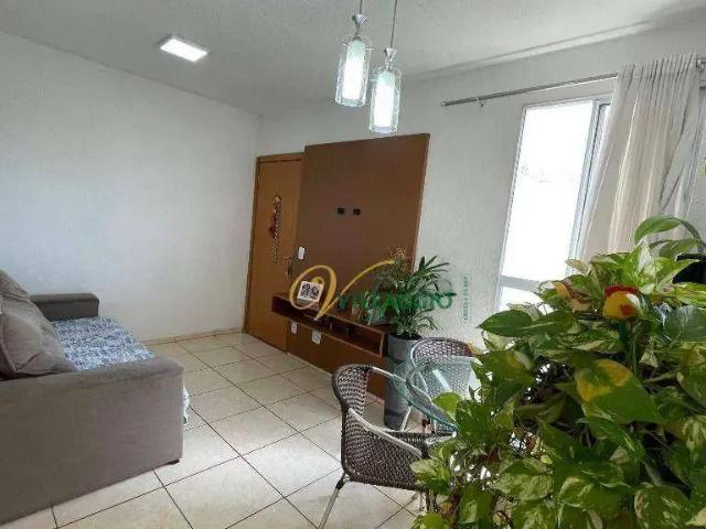 Apartamento venda em Região Imediata de São José do Rio Preto, Região Metropolitana de São José do Rio Preto