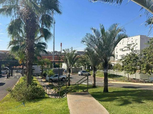 Apartamento venda em Região Imediata de São José do Rio Preto, Região Metropolitana de São José do Rio Preto