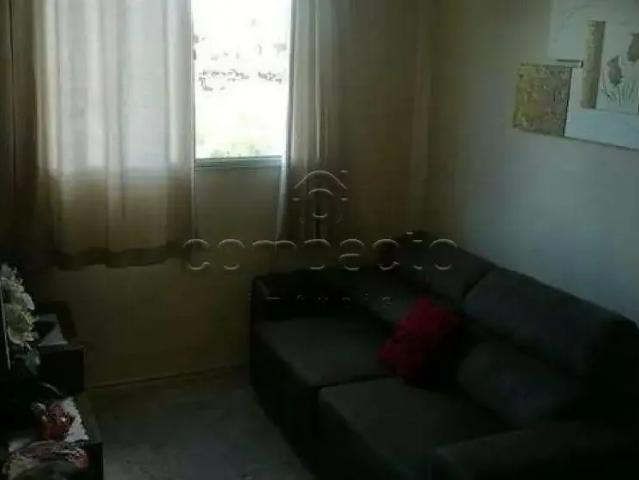 Apartamento venda em São José do Rio Preto, Região Geográfica Intermediária de São José do Rio Preto