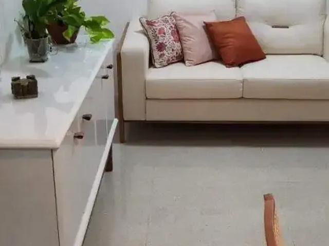 Apartamento venda em São José do Rio Preto