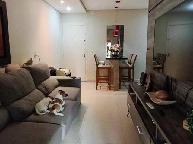 Apartamento venda em São José do Rio Preto