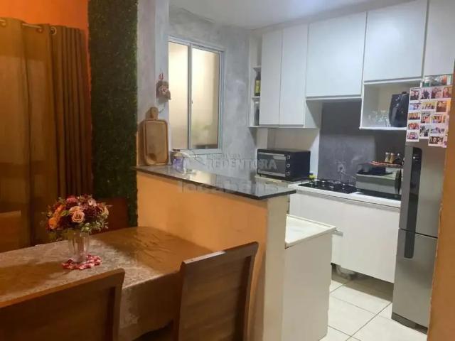 Apartamento venda em São José do Rio Preto, Região Geográfica Intermediária de São José do Rio Preto