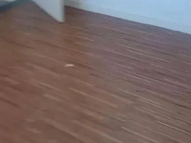 Apartamento venda em Região Imediata de São José dos Campos, Região Metropolitana do Vale do Paraíba e Litoral Norte
