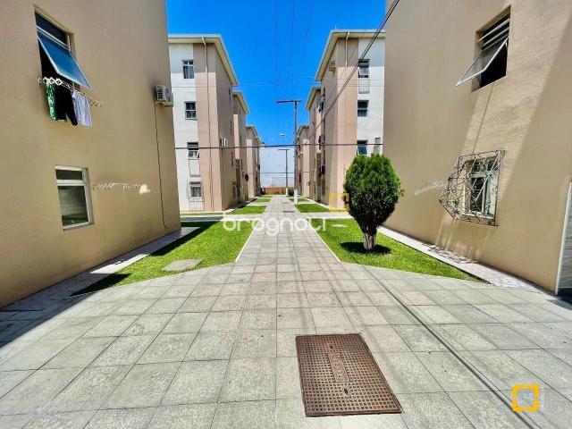 Apartamento venda em Região Geográfica Imediata de Florianópolis, São José