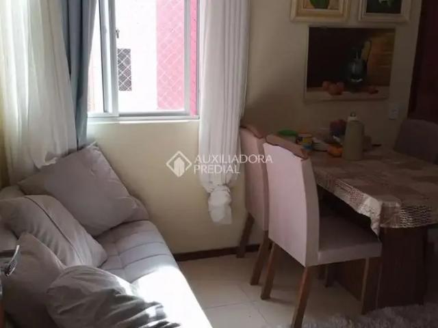 Apartamento venda em Região Geográfica Imediata de Florianópolis, São José