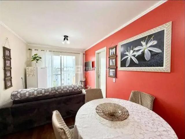 Apartamento venda em Região Geográfica Imediata de Florianópolis, São José