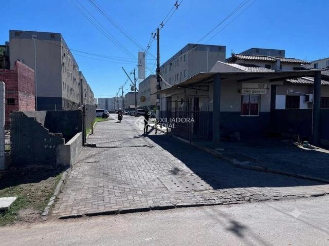 Apartamento venda em Região Geográfica Imediata de Novo Hamburgo - São Leopoldo, Região Metropolitana de Porto Alegre