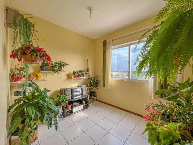 Apartamento venda em Região Geográfica Imediata de Novo Hamburgo - São Leopoldo, Região Metropolitana de Porto Alegre
