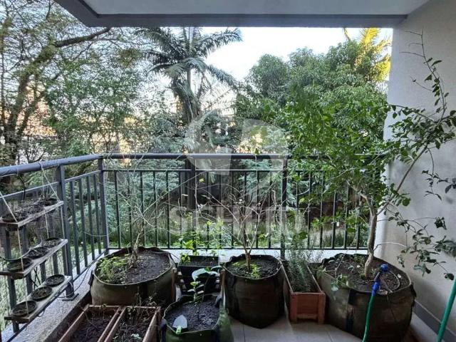 Apartamento venda em Região Imediata de Andradina, Pereira Barreto