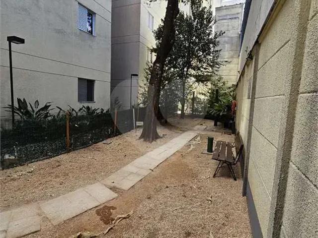 Apartamento venda em Cambuci, São Paulo