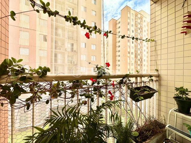 Apartamento venda em Cambuci, São Paulo