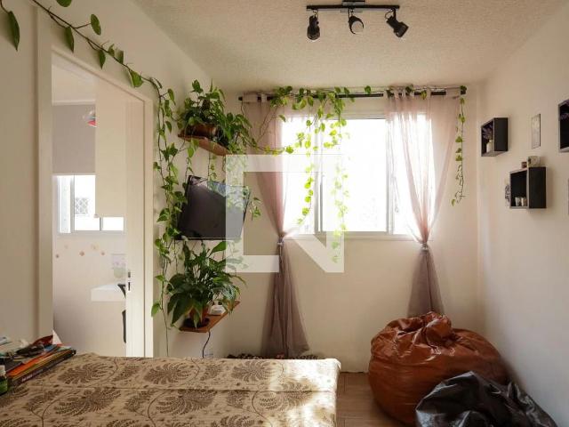 Apartamento venda em Vila Renato, São Paulo