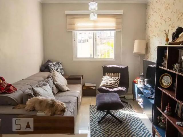 Apartamento venda em Vila Buenos Aires, São Paulo