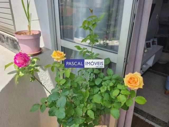 Apartamento venda em Saúde, São Paulo