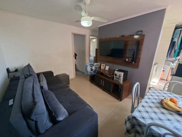 Apartamento venda em Vila Herciópolis, São Paulo