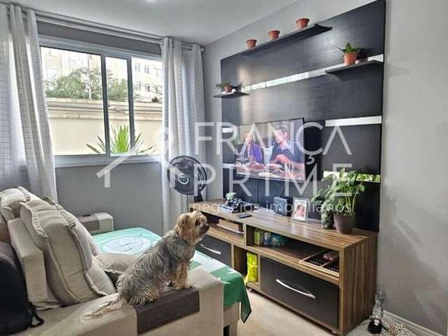 Apartamento venda em Piqueri, São Paulo