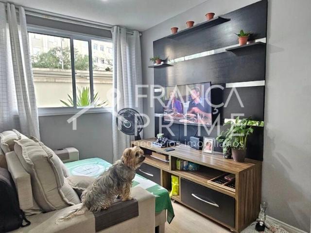 Apartamento venda em Piqueri, São Paulo