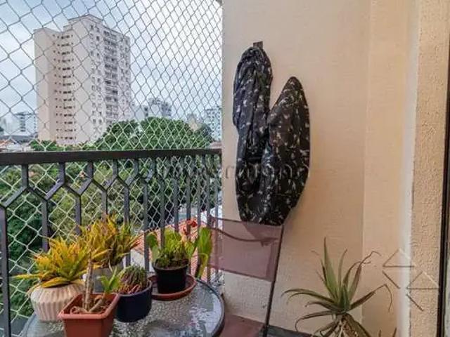 Apartamento venda em Vila Ipojuca, São Paulo