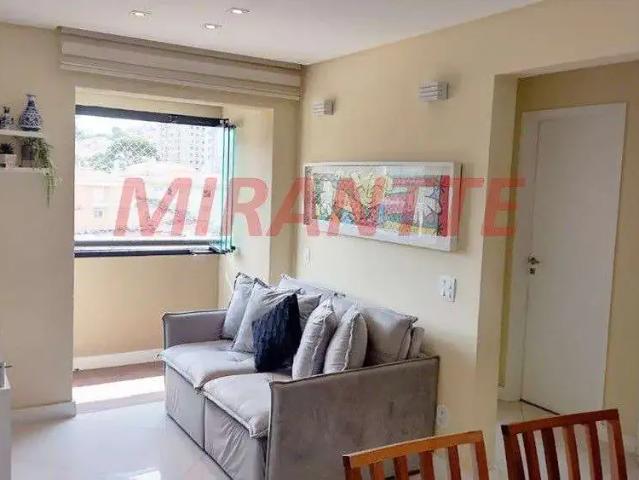 Apartamento venda em Região Imediata de São José do Rio Preto, Região Metropolitana de São José do Rio Preto