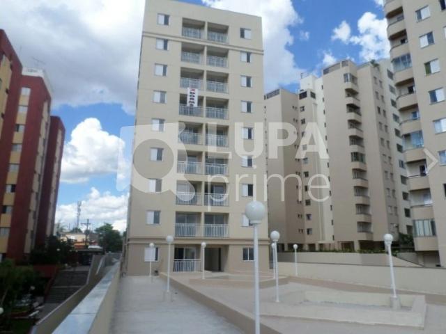 Apartamento venda em Jardim Maia, São Paulo