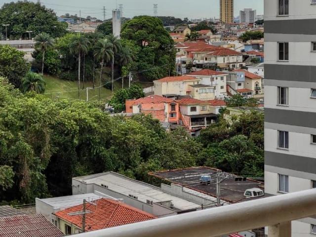 Apartamento venda em Parque Maria Domitila, São Paulo