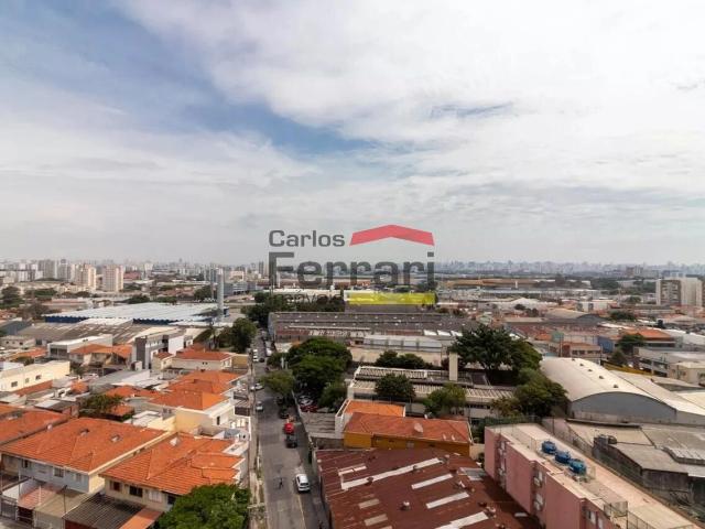 Apartamento venda em Vila Isolina Mazzei, São Paulo