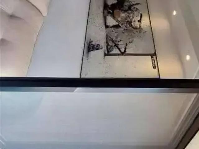 Apartamento venda em Vila Argentina, São Paulo