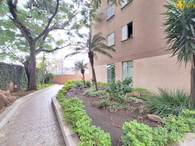 Apartamento venda em Parque Novo Mundo, São Paulo