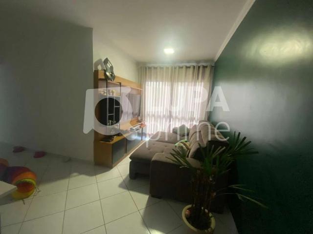 Apartamento venda em Jardim Guapira, São Paulo