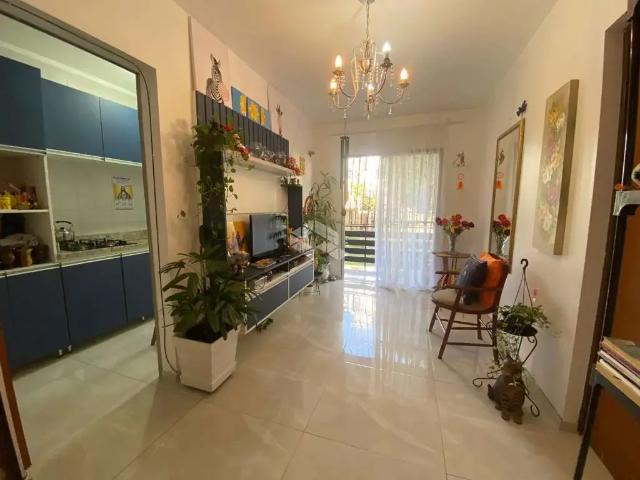 Apartamento venda em Região Geográfica Imediata de Santa Cruz do Sul, Santa Cruz do Sul
