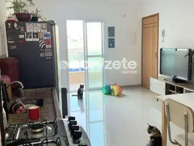 Apartamento venda em Vila Leopoldina, Santo André