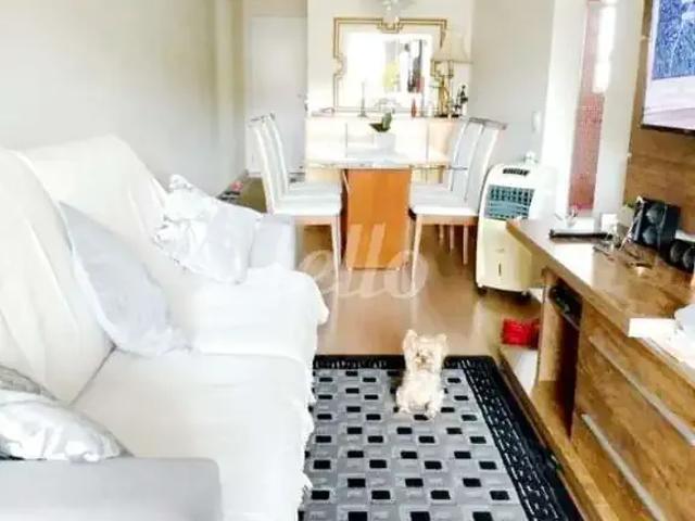 Apartamento venda em Santo André