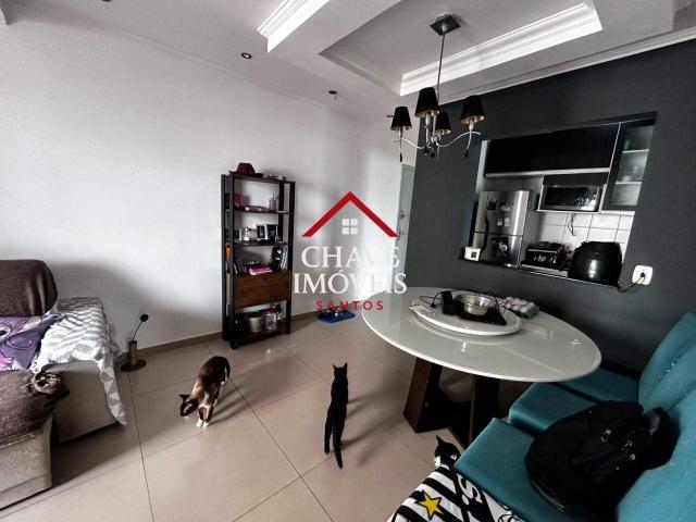 Apartamento venda em Região Imediata de Santos, Região Metropolitana da Baixada Santista