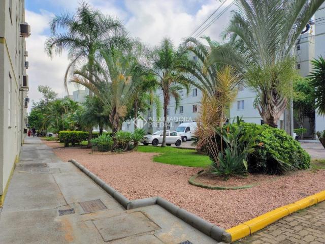 Apartamento venda em Sapucaia do Sul