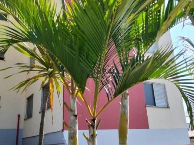 Apartamento venda em Araçoiaba da Serra