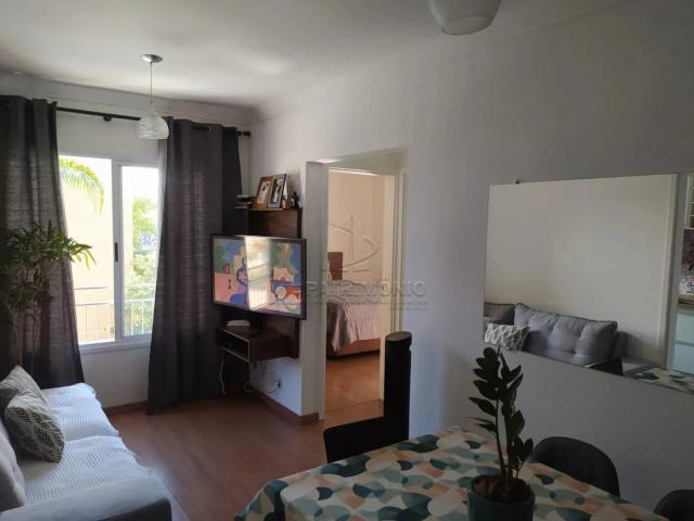 Apartamento venda em Sorocaba