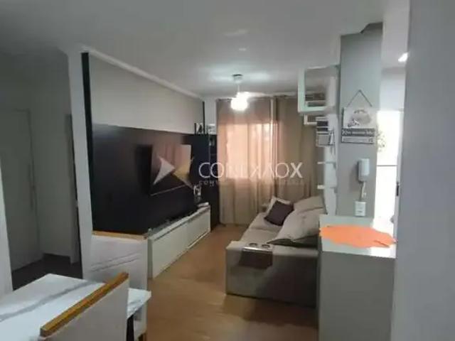 Apartamento venda em Região Imediata de Campinas, Região Metropolitana de Campinas