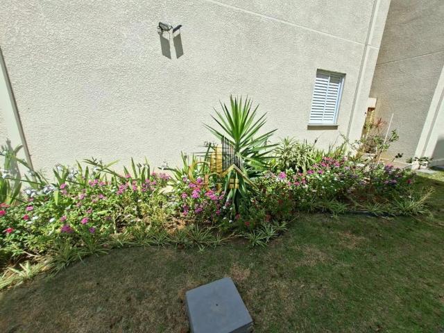 Apartamento venda em Parque São Luiz, Taubaté