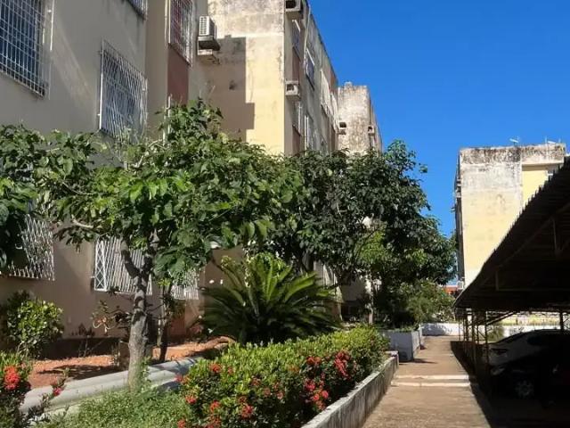 Apartamento venda em Região Geográfica Imediata de Teresina, Região Integrada de Desenvolvimento da Grande Teresina