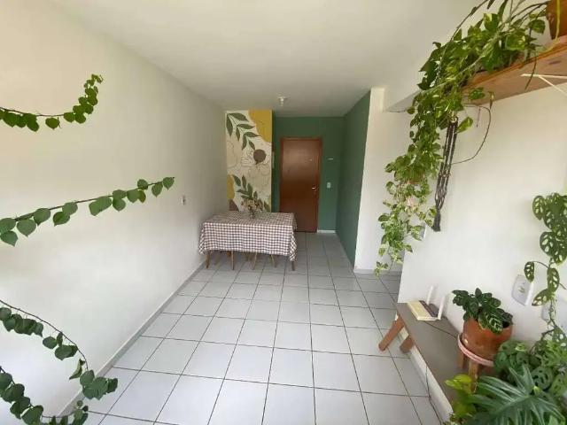 Apartamento venda em Região Geográfica Imediata de Teresina, Região Integrada de Desenvolvimento da Grande Teresina