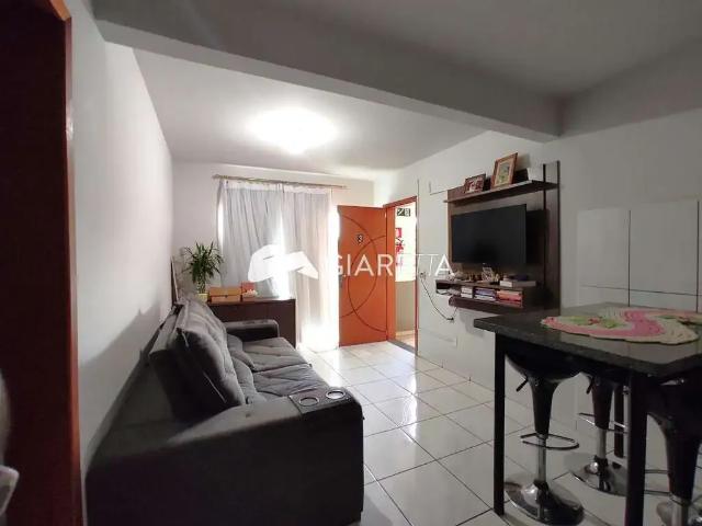 Apartamento venda em Região Geográfica Imediata de Toledo, Toledo