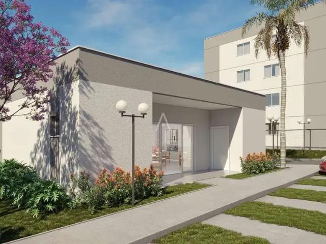Apartamento venda em Região Geográfica Imediata de Toledo, Toledo