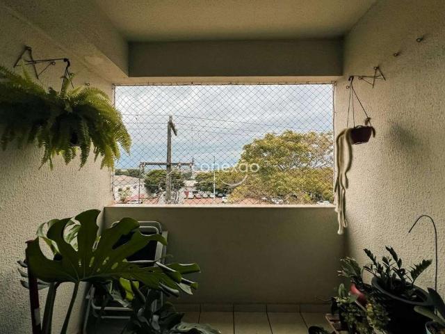 Apartamento venda em Região Geográfica Imediata de Toledo, Toledo