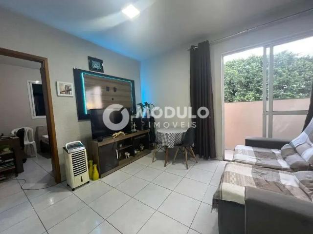 Apartamento venda em Região Geográfica Imediata de Uberlândia, Oliveira Fortes