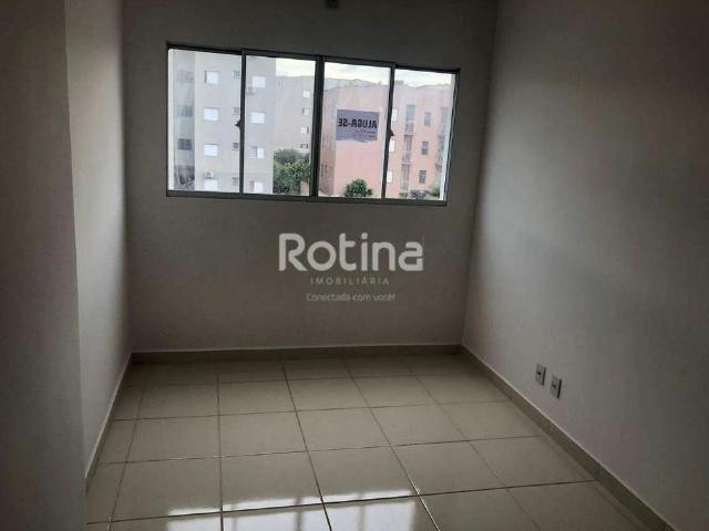 Apartamento venda em Dona Zulmira, Uberlândia