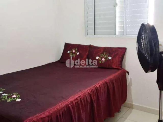 Apartamento venda em Dona Zulmira, Uberlândia