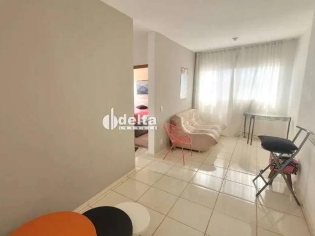 Apartamento venda em Dona Zulmira, Uberlândia