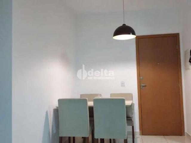Apartamento venda em Dona Zulmira, Uberlândia