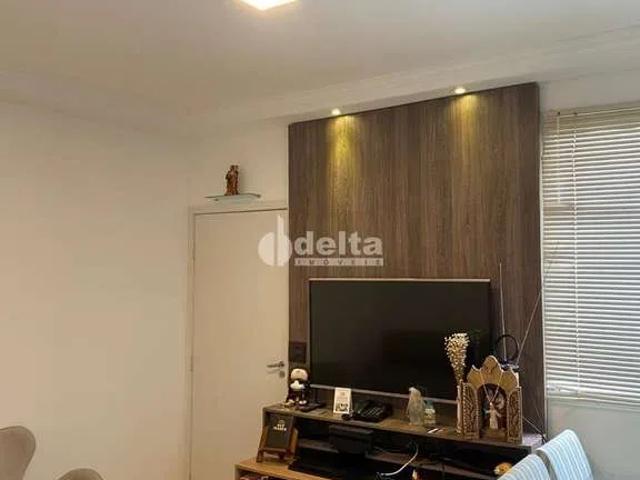 Apartamento venda em Setor Sul, Uberlândia